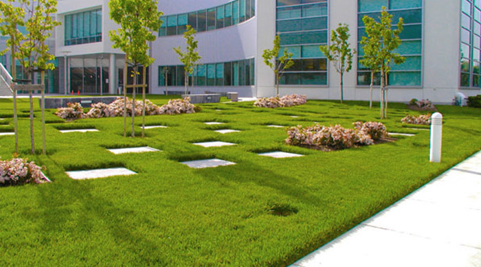 Why does everybody need commercial landscaping services for business