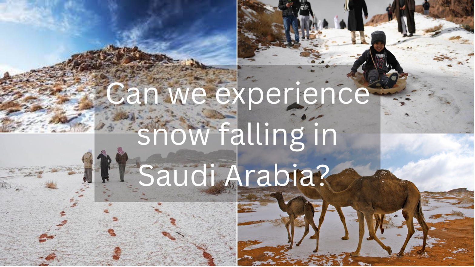 Can we experience snow falling in Saudi Arabia?