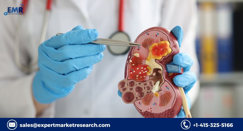 Urology Implants and Devices Market