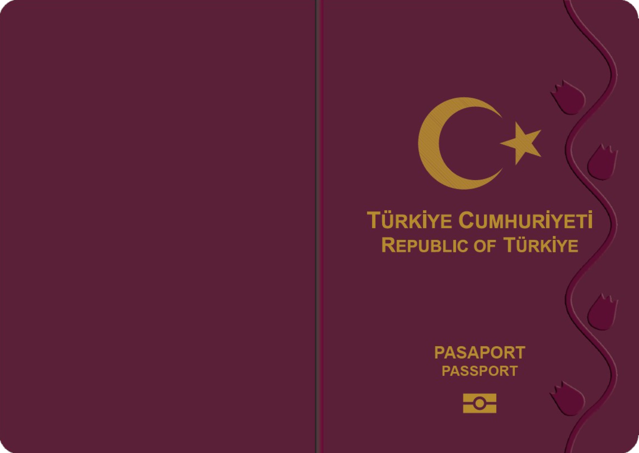 Turkey Visa