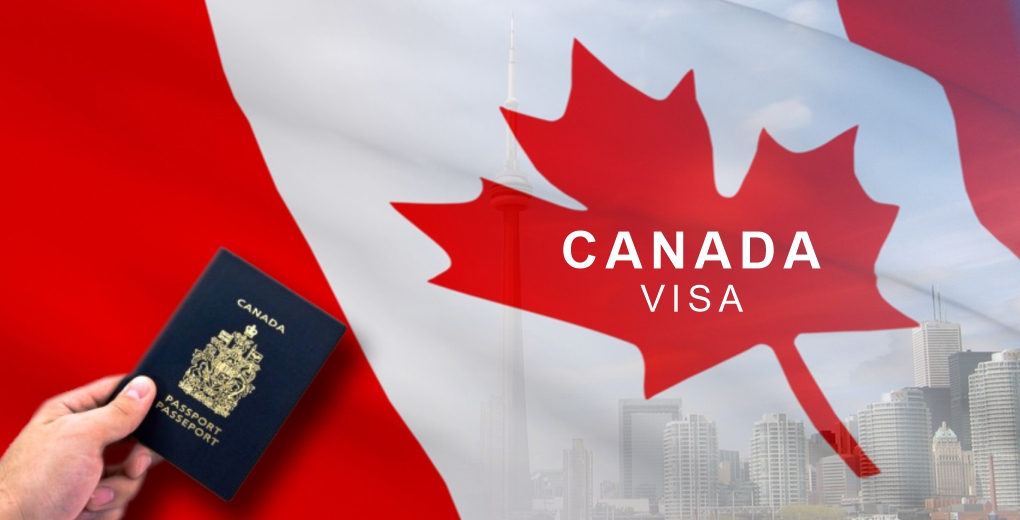 Saudi Visa