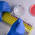 How Magnetic Beads Protein Purification Saves Lab Time