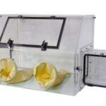 Why Isolation Glove Box Is Critical for Pharma Labs?