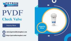 Buy Industrial PVDF Check Valve with Fast Delivery