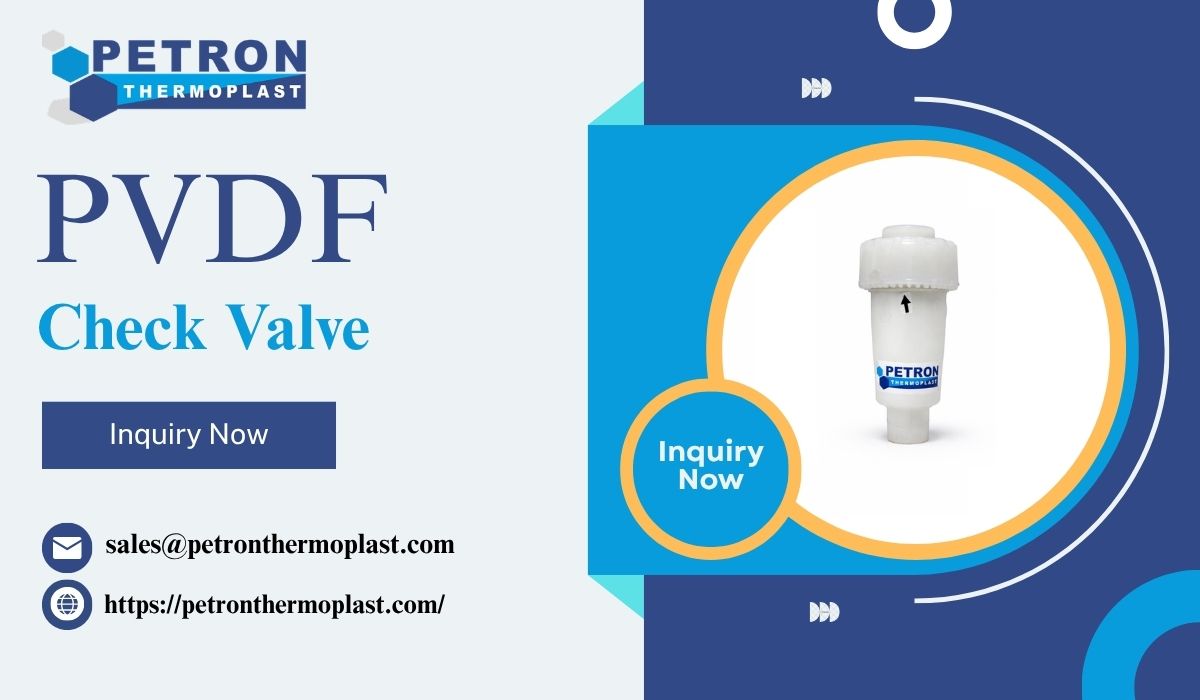 PVDF Check Valve