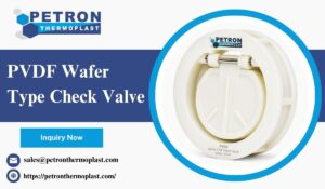 PVDF Wafer Type Check Valve for Reliable Fluid Flow