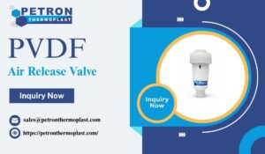 PVDF Air Release Valve for Customized Piping Projects