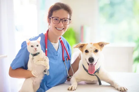 Veterinary