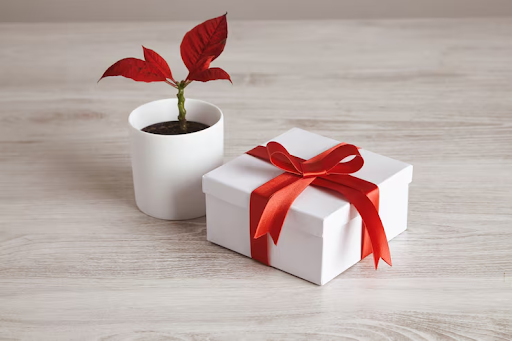 Gifting