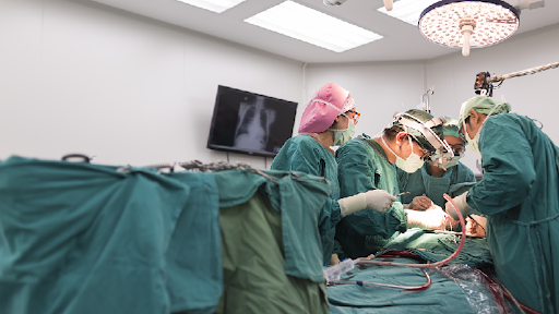 Transplantation